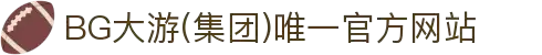 BG大游(集团)唯一官方网站