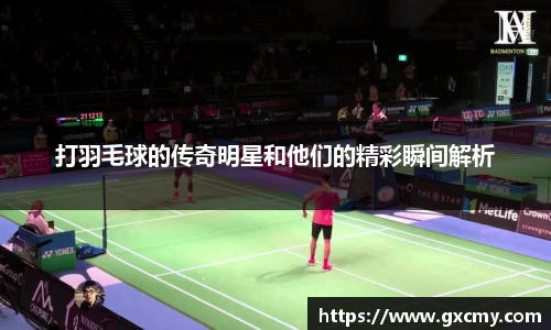 打羽毛球的传奇明星和他们的精彩瞬间解析